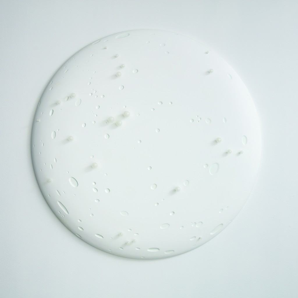 Voyage Sauvage, 2009